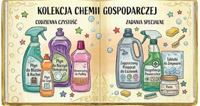 Chemia gospodarcza oraz profesjonalna